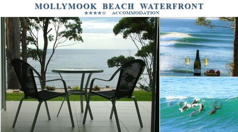 Mollymook Beach Waterfront - Accommodation in Bendigo 1
