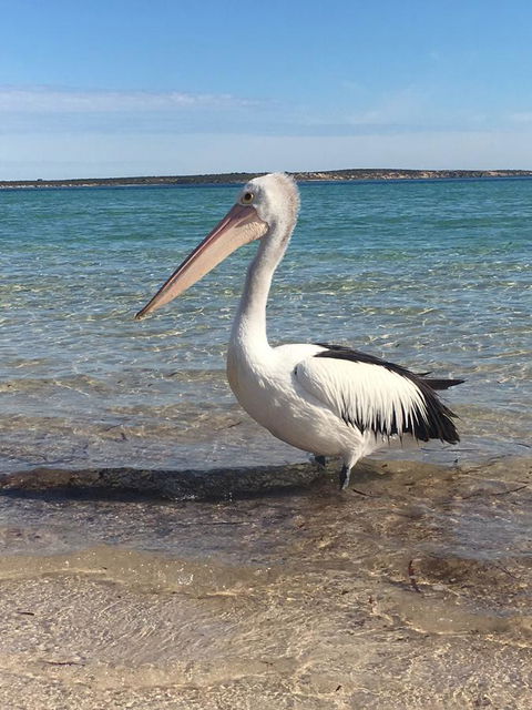 Sail & Anchor - Accommodation in Bendigo 2