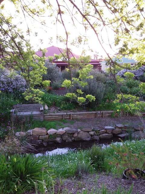 Frog Song At Willunga - Accommodation in Bendigo 0