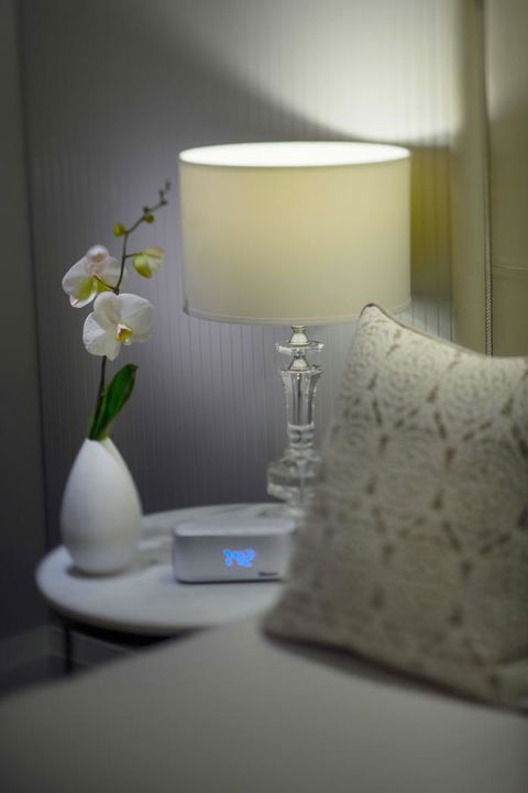 Mayfair Hotel - Accommodation in Bendigo 13