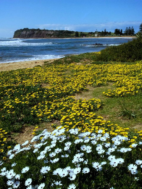 Serenity On Narrabeen Beach - 1Bdr Beachside Retreat - Accommodation in Bendigo 10