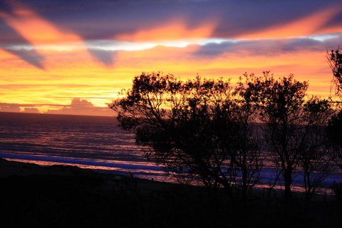 Serenity On Narrabeen Beach - 1Bdr Beachside Retreat - Accommodation in Bendigo 1