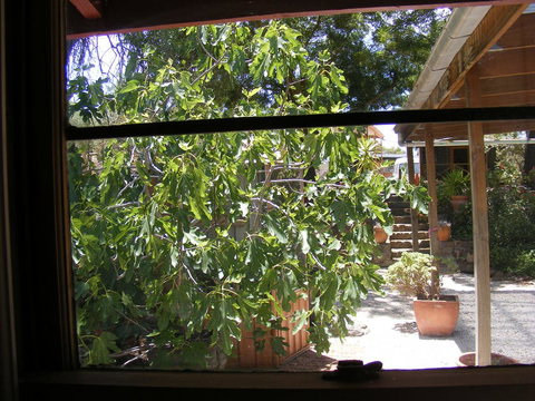 Trevalia Accommodation - Accommodation in Bendigo 4