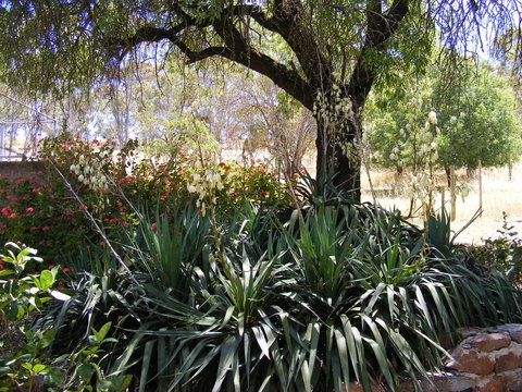 Trevalia Accommodation - Accommodation in Bendigo 6