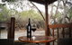 Kangaroo Island Wilderness Retreat - thumb 38