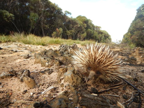 Kangaroo Island Wilderness Retreat - Accommodation in Bendigo 20