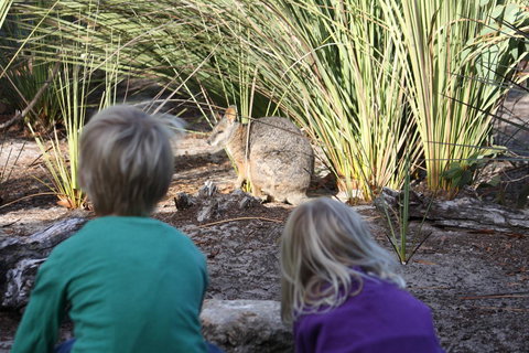 Kangaroo Island Wilderness Retreat - Accommodation in Bendigo 30