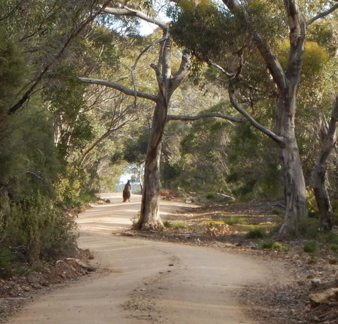 Kangaroo Island Wilderness Retreat - Accommodation in Bendigo 22