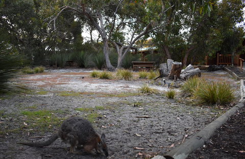 Kangaroo Island Wilderness Retreat - Accommodation in Bendigo 1