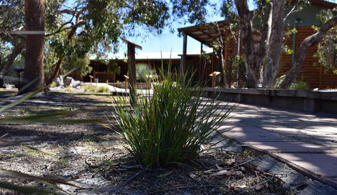 Kangaroo Island Wilderness Retreat - Accommodation in Bendigo 21