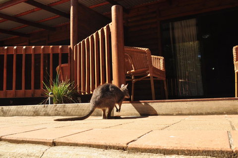 Kangaroo Island Wilderness Retreat - Accommodation in Bendigo 9