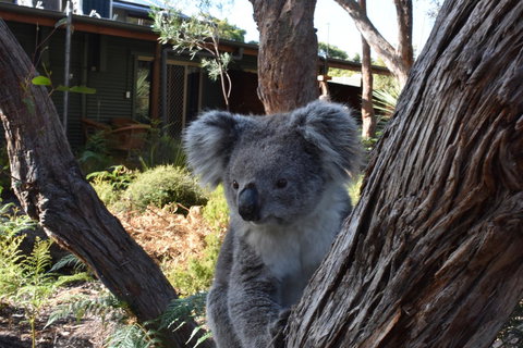 Kangaroo Island Wilderness Retreat - Accommodation in Bendigo 6