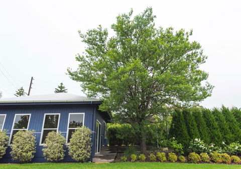 S T U D I O 22 Peaceful Retreat With Garden Views - Accommodation in Bendigo 11