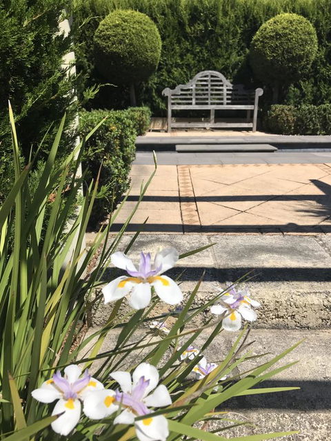 S T U D I O 22 Peaceful Retreat With Garden Views - Accommodation in Bendigo 13