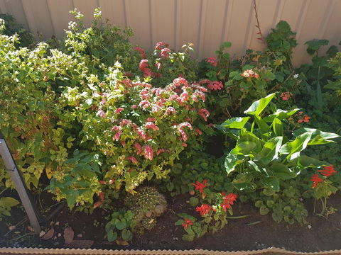 Tanunda\'s Magpie House - Accommodation in Bendigo 24