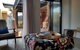 Sinclair Eco House - thumb 26
