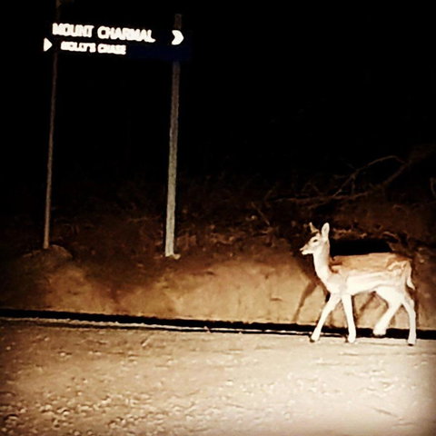 Molly's Chase - Accommodation in Bendigo 32