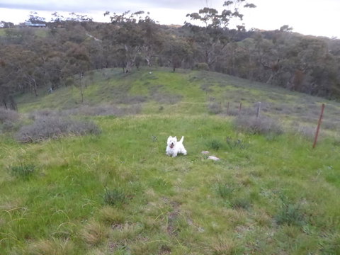 Molly's Chase - Accommodation in Bendigo 22