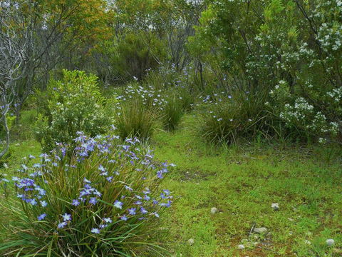 Kestrel Downs - Accommodation in Bendigo 32