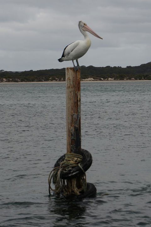 Kohinoor Getaway - Accommodation in Bendigo 13