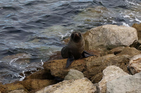 Kohinoor Getaway - Accommodation in Bendigo 12