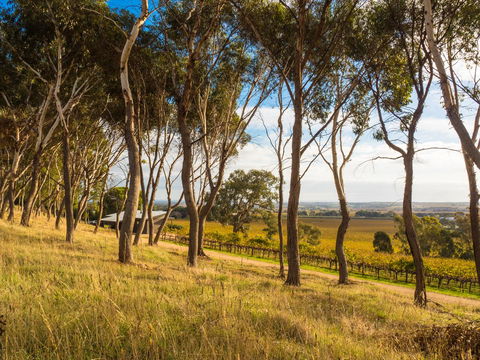 Shadow Creek McLaren Vale - Accommodation in Bendigo 5