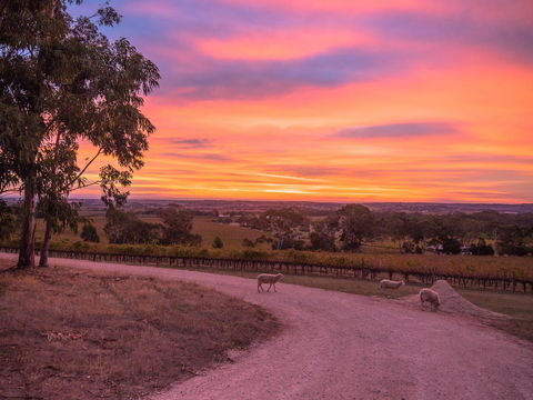 Shadow Creek McLaren Vale - Accommodation in Bendigo 24