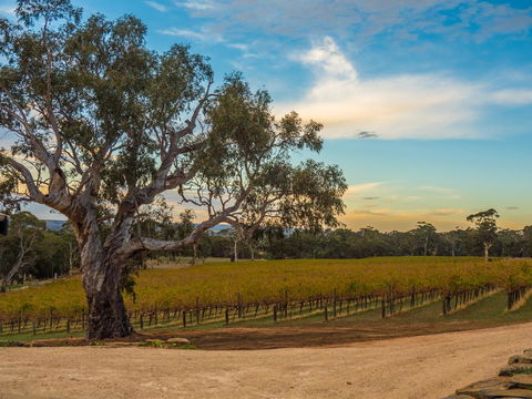 Shadow Creek McLaren Vale - Accommodation in Bendigo 23