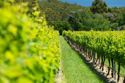 The Other House - Accommodation in Bendigo 2