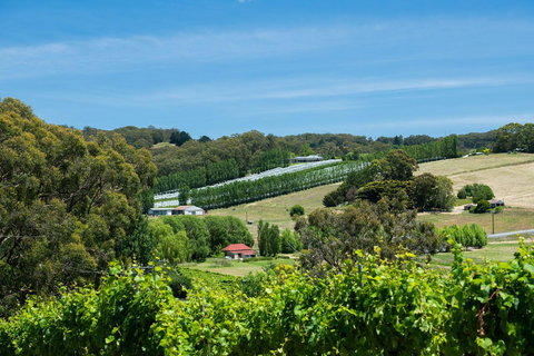 The Other House - Accommodation in Bendigo 3