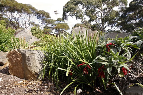 Cape Jervis Holiday Units - Accommodation in Bendigo 6