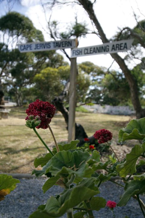 Cape Jervis Holiday Units - Accommodation in Bendigo 13