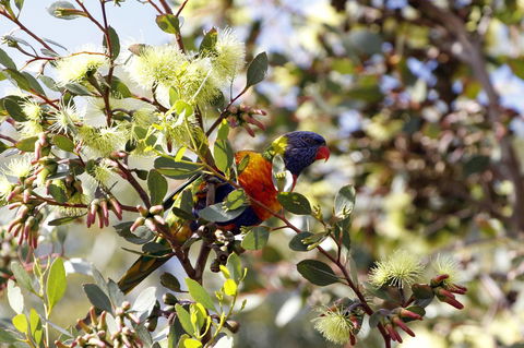 Cape Jervis Holiday Units - Accommodation in Bendigo 11