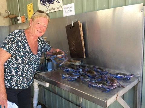 Ceduna Foreshore Caravan Park - Accommodation in Bendigo 28