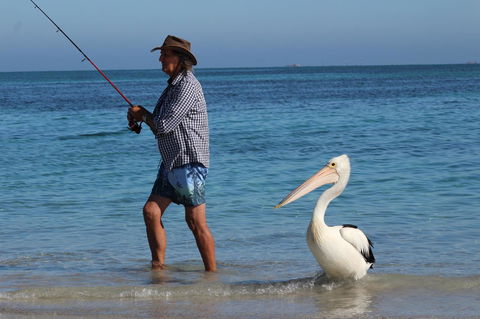 Ceduna Foreshore Caravan Park - Accommodation in Bendigo 21
