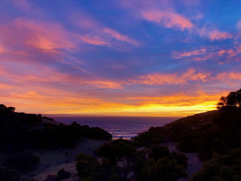 Sea Dragon Kangaroo Island - Accommodation in Bendigo 14