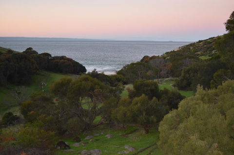 Sea Dragon Kangaroo Island - Accommodation in Bendigo 30