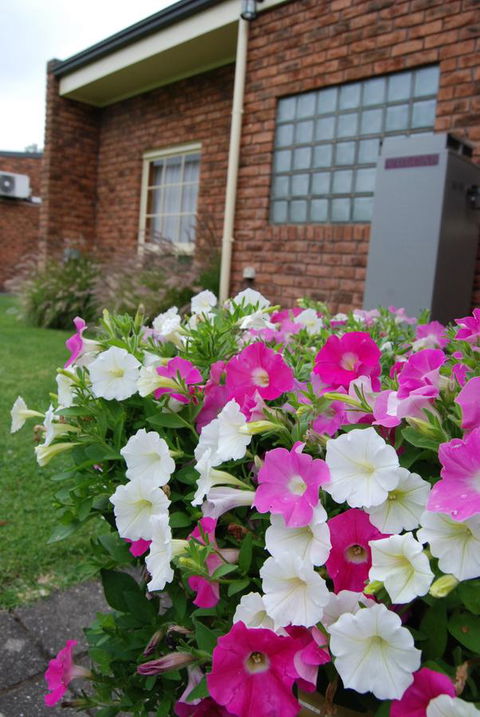 Arkana Motor Inn & Terrace Apartments - Accommodation in Bendigo 40