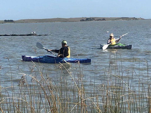 Hydeaway Bay - Own Private Bay + Kayaks - Accommodation in Bendigo 30