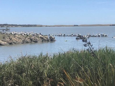 Hydeaway Bay - Own Private Bay + Kayaks - Accommodation in Bendigo 34