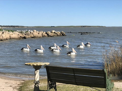 Hydeaway Bay - Own Private Bay + Kayaks - Accommodation in Bendigo 18
