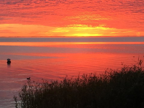 Hydeaway Bay - Own Private Bay + Kayaks - Accommodation in Bendigo 37