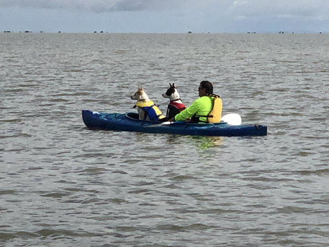 Hydeaway Bay - Own Private Bay + Kayaks - Accommodation in Bendigo 31