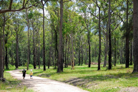 SkyView Villa - Accommodation in Bendigo 28