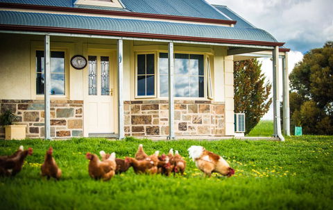 Barossa Vineyard Cottages - Accommodation in Bendigo 40