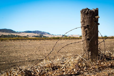 Barossa Vineyard Cottages - Accommodation in Bendigo 5