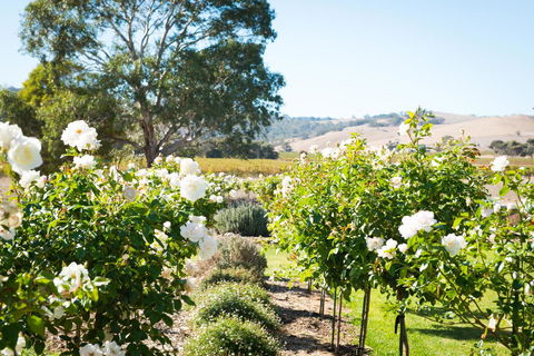 Barossa Vineyard Cottages - Accommodation in Bendigo 1