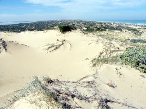 Coorong Waterfront Retreat - Accommodation in Bendigo 32
