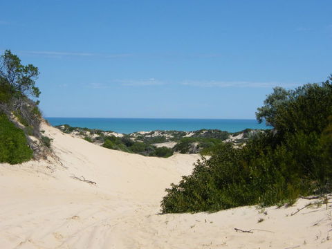 Coorong Waterfront Retreat - Accommodation in Bendigo 23