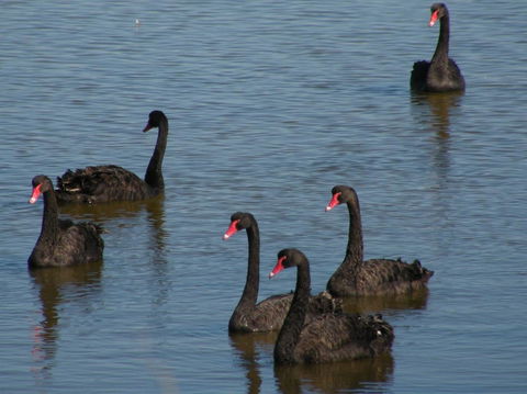 Coorong Waterfront Retreat - Accommodation in Bendigo 26